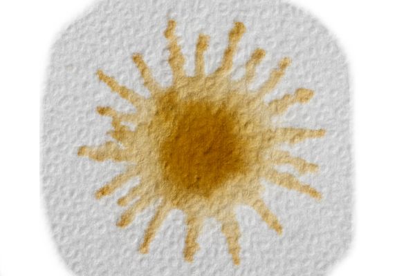 耐油試験結果の画像